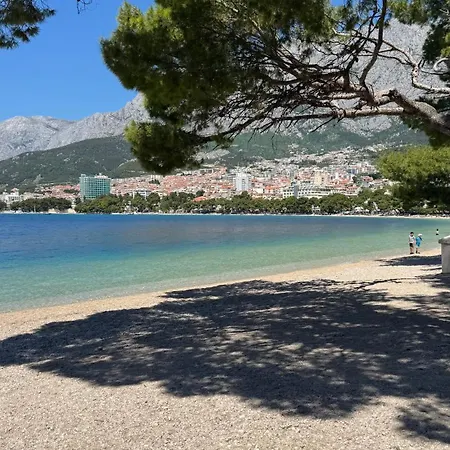 Martin Makarska, 80m From The